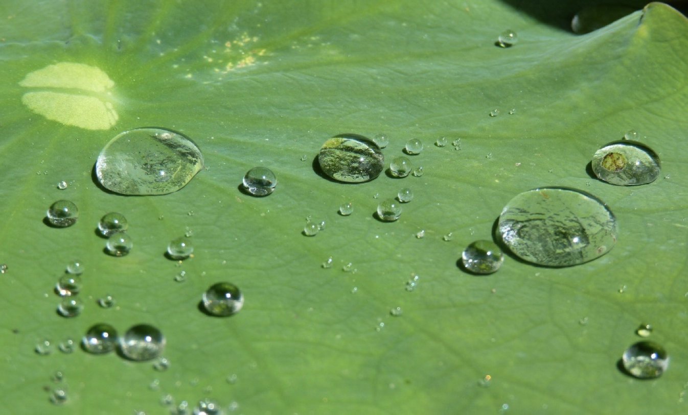 水性疏水劑在水性樹(shù)脂、涂料中能用嗎